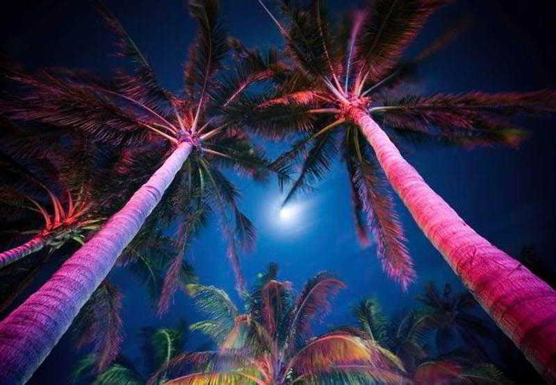 Courtyard Miami Airport West Doral
